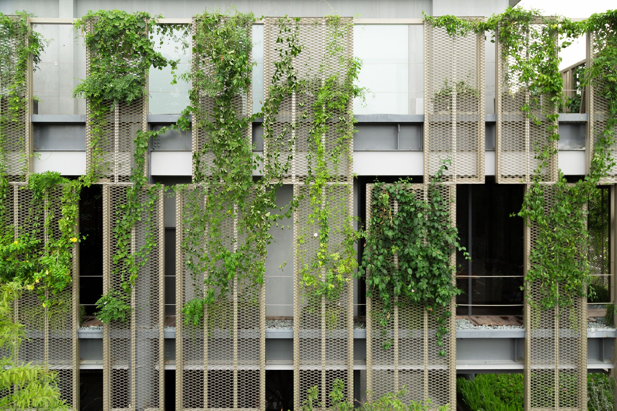 Green Facades